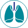 respiratory icon